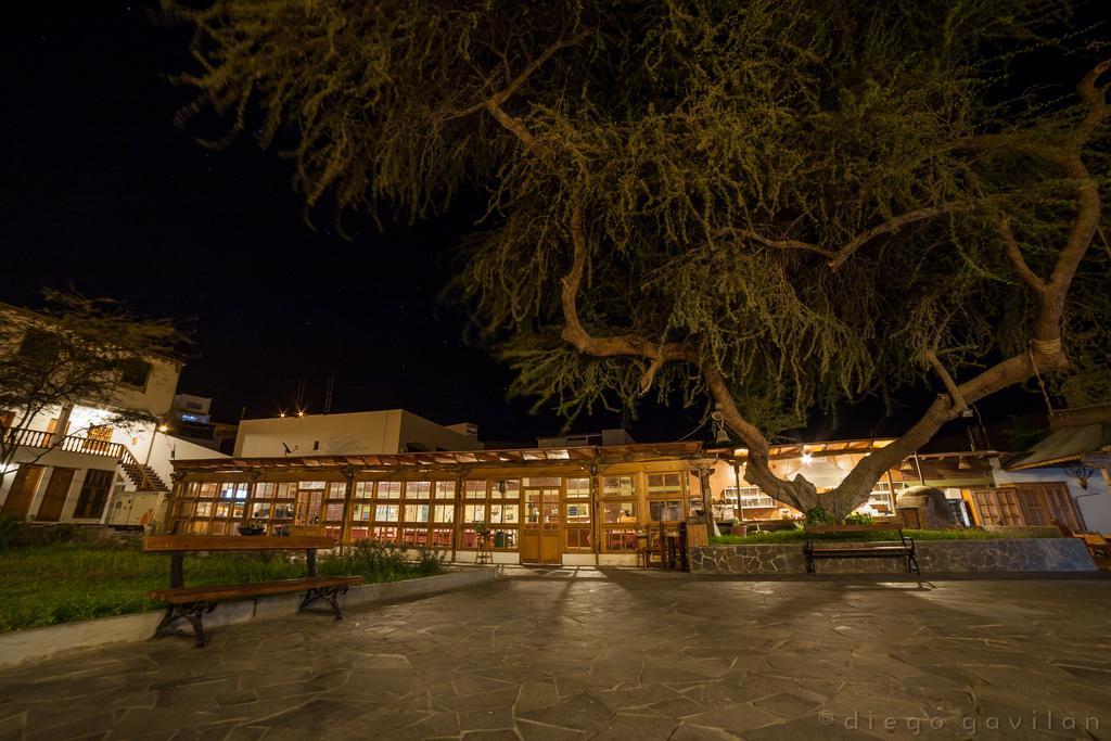 Hotel El Huarango Ica Bagian luar foto